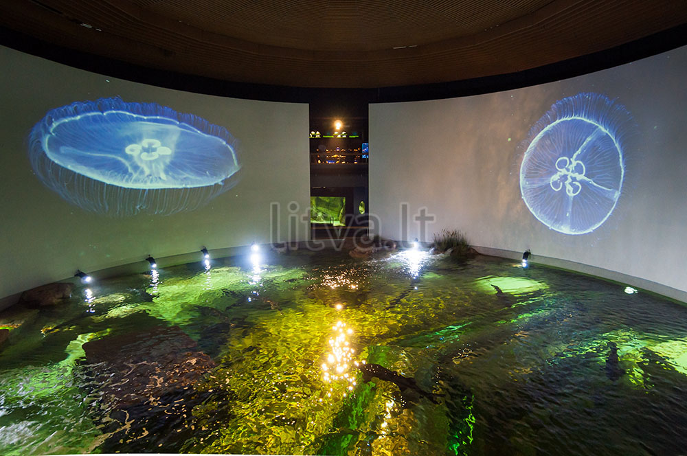 Морской музей-аквариум на Куршской косе в Клайпеде — аквариумы с представителями подводного мира